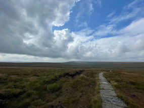 Open landscapes
