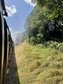 Video from the train
