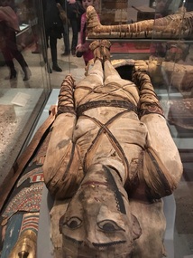 An Egyptian Mummy 