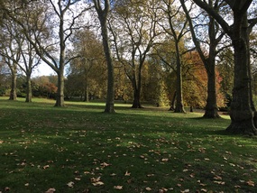 St James's Park