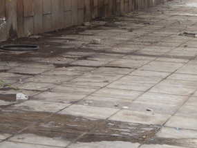 Polluted sidewalk