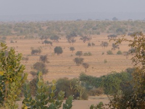 Desert beyond the dunes