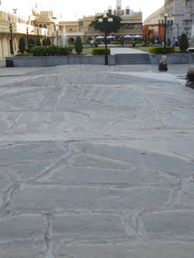 Elephant beds