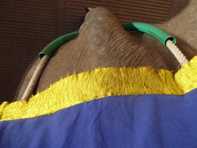Elephant butt!