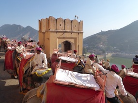 Elephants returning to pick up more passengers 