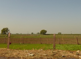 Agriculture!