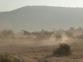 Ranthambore