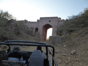 Gate