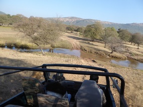 Ranthambore 