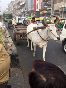 Crossing the road in Delhi