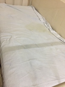 Bed with urine stain and general filth