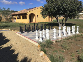 Chess big style (open)