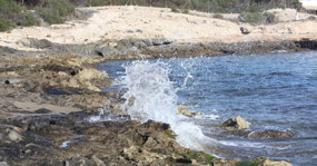 Seashore