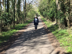 Plodding along