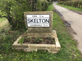 Skelton