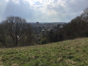 View of Richmond