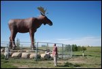 Welcome to Moose Jaw