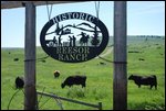 Welcome sign