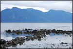 2000-year-old fish trap