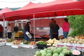 Petersburg vegetable market
