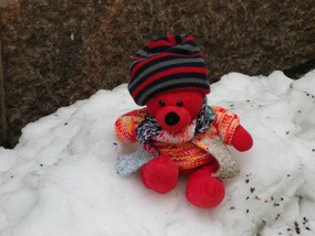 RED TED'S DAY IN THE SNOW