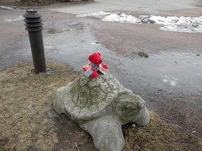 RED TED RIDING TORTOISE