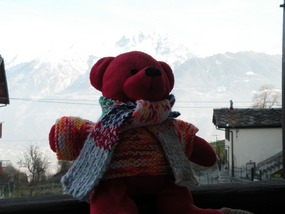 RED TED ON BALCONY