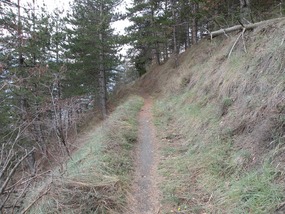 WALKING TRACK ARPUILLES TO PLANES B