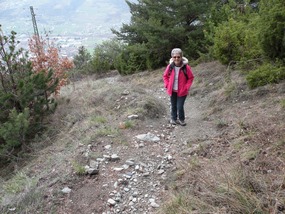 WALKING TRACK ARPUILLES TO PLANES D