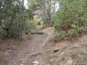 WALKING TRACK ARPUILLES TO PLANES E
