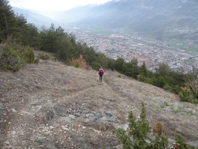 WALKING TRACK ARPUILLES TO PLANES F