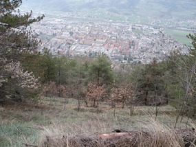 WALKING TRACK ARPUILLES TO PLANES A