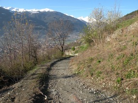 LOOKING DOWN TRACK 1 TO AOSTA