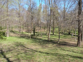 PICNIC SPOT FOR LUNCH IN PARK