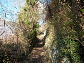 LOOKING BACK UP TOWARDS ARPUILLES