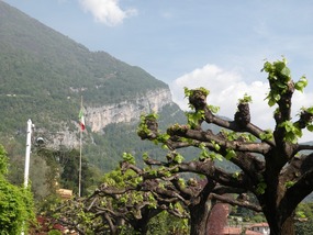 LOOKING UP TO MOUNTAINS, LENNO