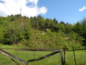 HOUSE IN THE BUSHES AT PIAMURO
