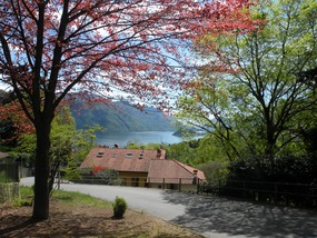 LOOKING ACROSS LAKE COMING BACK TO MENAGGIO