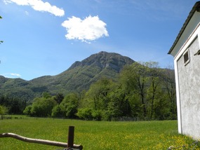 LOOKING UP FROM PIAMURO