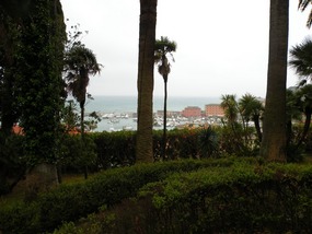 LOOKING DOWN ON HARBOUR FROM VILLA DURAZZO