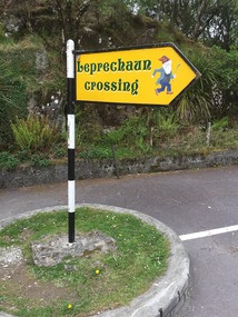 Just missed the leprechaun....