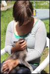 Physalis (die Katze) im Dauerurlaub