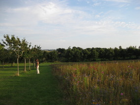 LN dans les champs au château