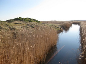 schöne Landschaft