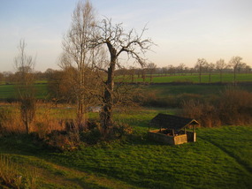 ein Teil des Hofs