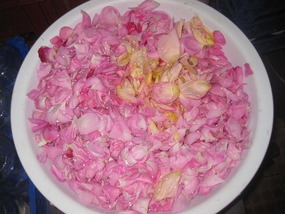 1 kg Rosenblätter...