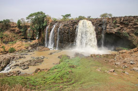 Blue Nile Waterfall- source of the Nile River
