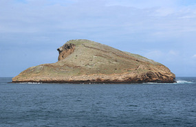 Doesn't this island look like a finch with wings?