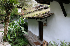 Rainforest cottage