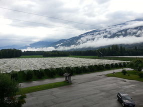 Clouds looking pretty ominous